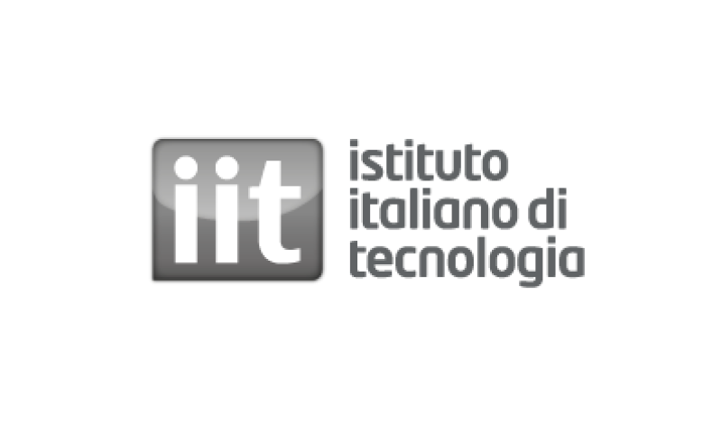 iit logo